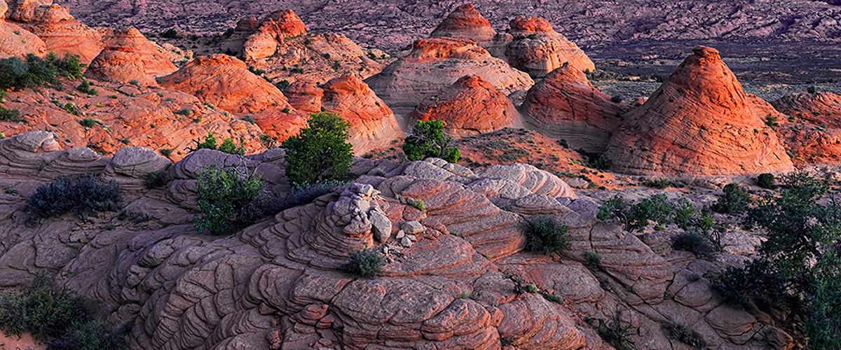 arches national park photo