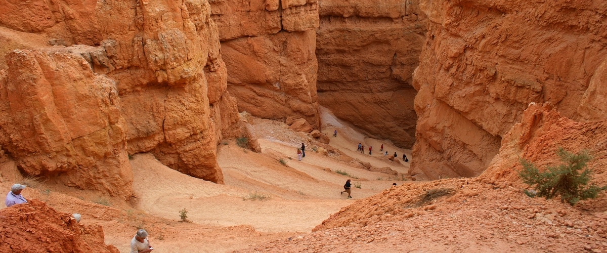 bryce canyon national park photo
