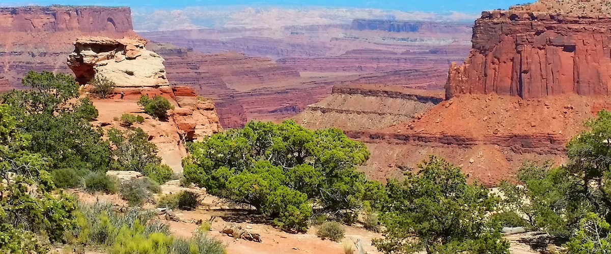 canyonlands national park photo