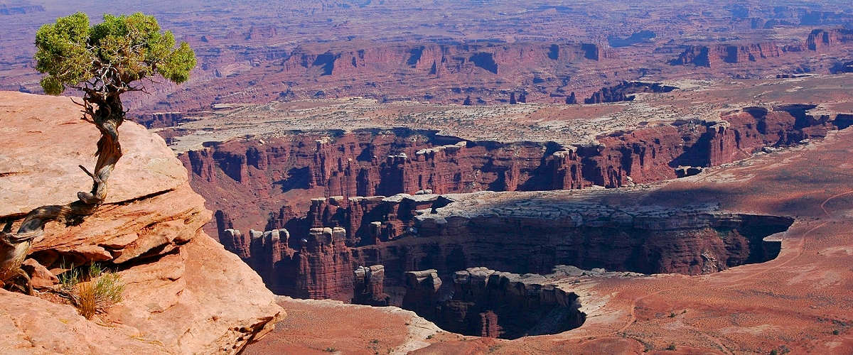 canyonlands national park photo
