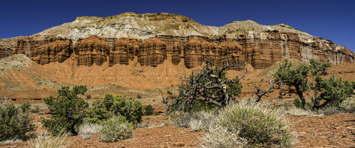 capitol reef national park photo