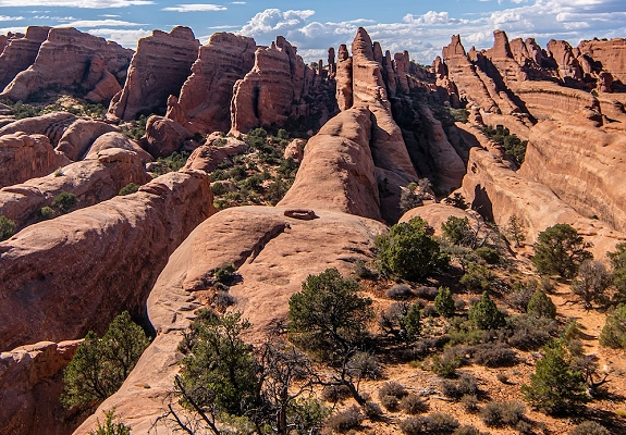 devils garden