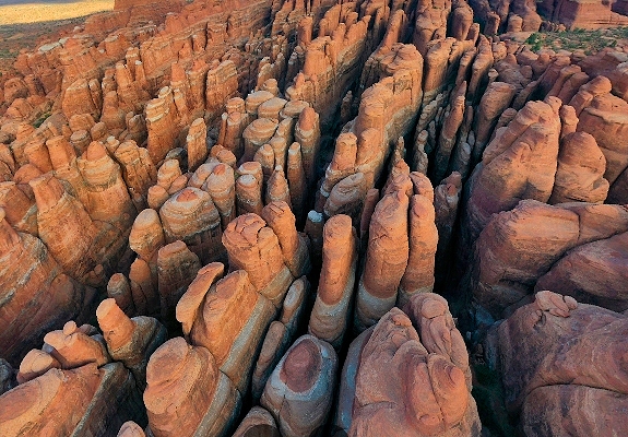 devils garden
