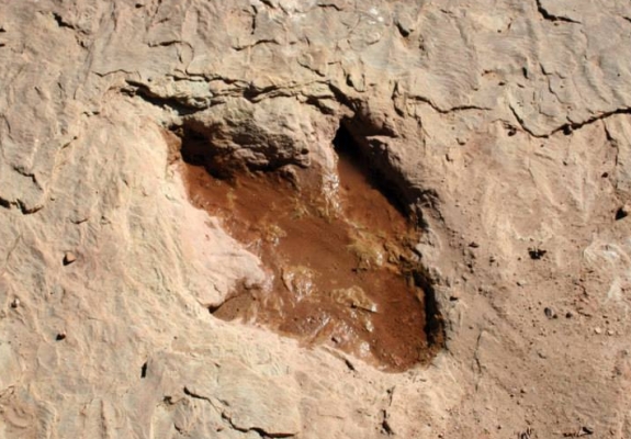 utah dinosaurs