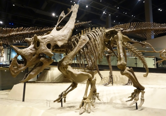utah dinosaurs