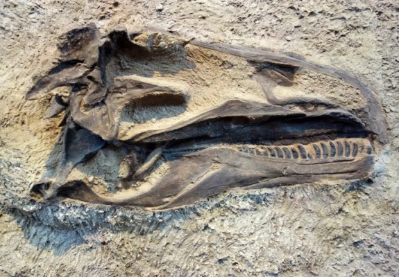 utah dinosaurs