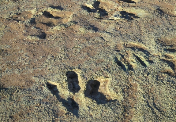 utah dinosaurs