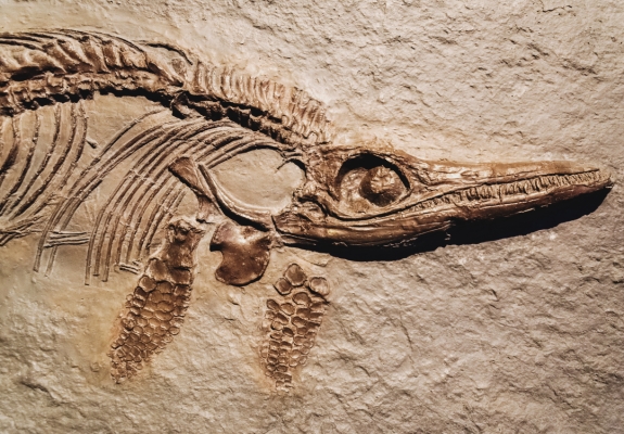 utah dinosaurs