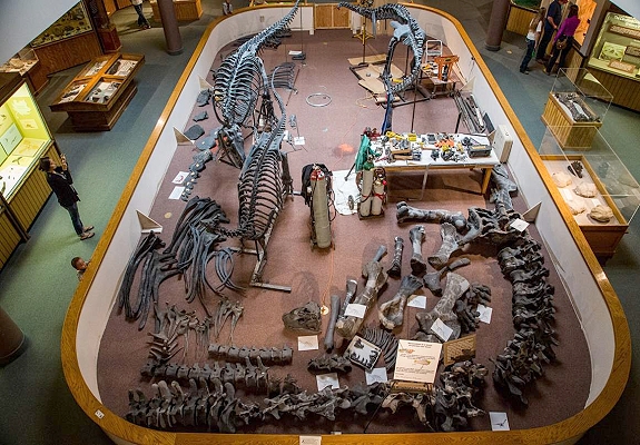 utah dinosaurs