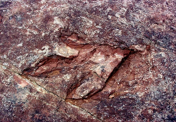 utah dinosaurs