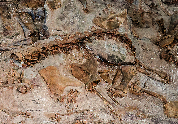 utah dinosaurs