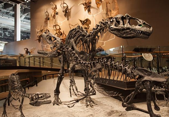 utah dinosaurs