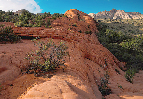 red cliffs