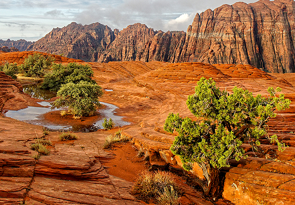 red cliffs