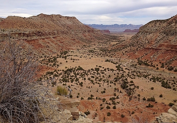 cedar mountain