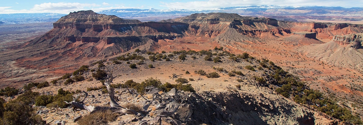 cedar mountain