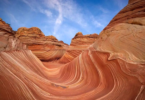 the wave