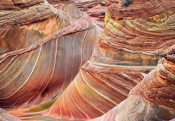 the wave